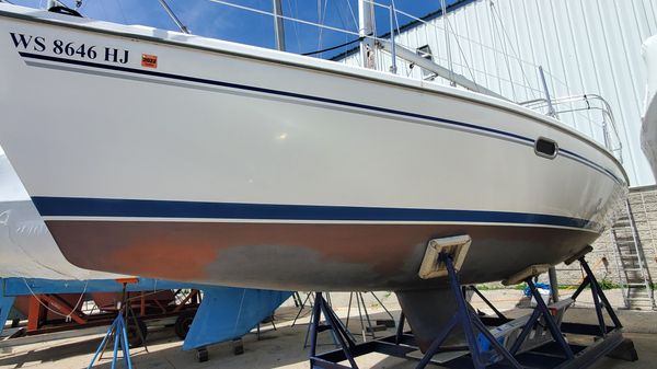 Catalina 310 