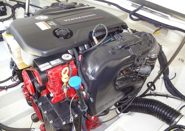 Formula 240 Bowrider image