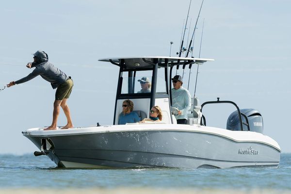 NauticStar 251 HYBRID - main image