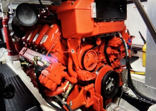 Mussel Ridge 46 image