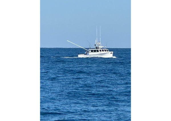 Mussel Ridge 46 image