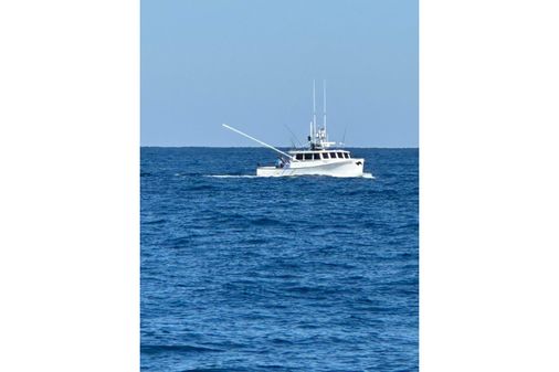 Mussel Ridge 46 image