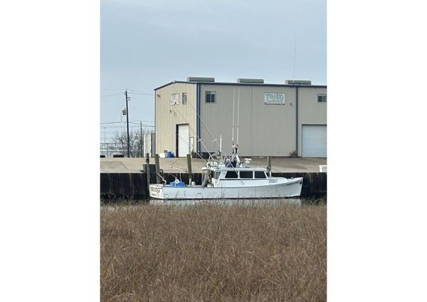 Mussel Ridge 46 image