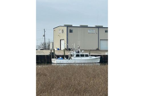 Mussel Ridge 46 image