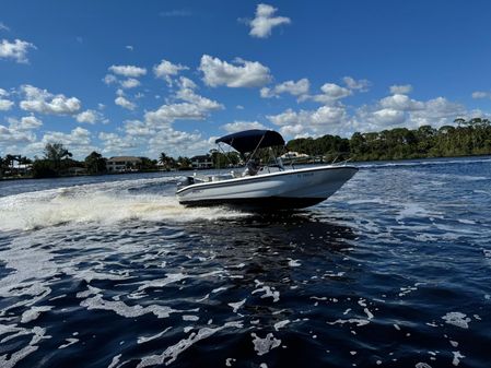 Boston-whaler 180-DAUNTLESS image