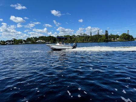 Boston-whaler 180-DAUNTLESS image