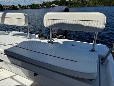 Boston-whaler 180-DAUNTLESS image