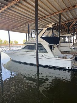 Sea-ray 430-CONVERTIBLE image