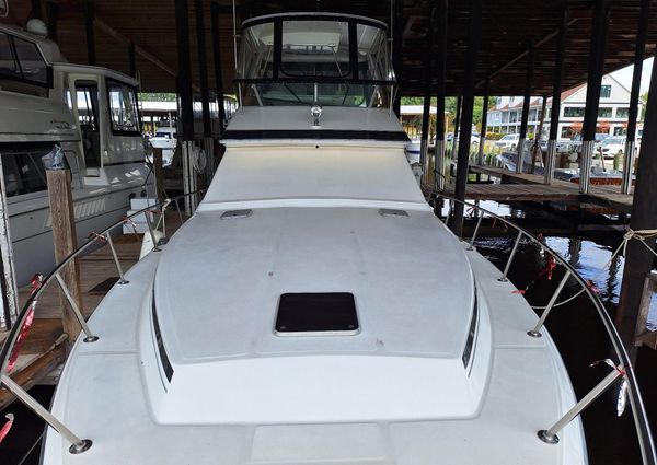 Sea-ray 430-CONVERTIBLE image