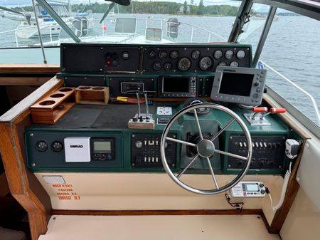 Sea Ray 390 Express Cruiser image