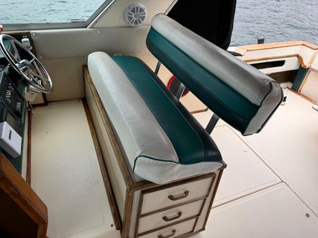 Sea Ray 390 Express Cruiser image