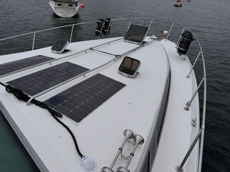 Sea Ray 390 Express Cruiser image