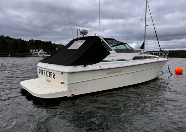 Sea-ray 390-EXPRESS-CRUISER image