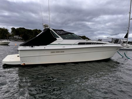 Sea Ray 390 Express Cruiser image