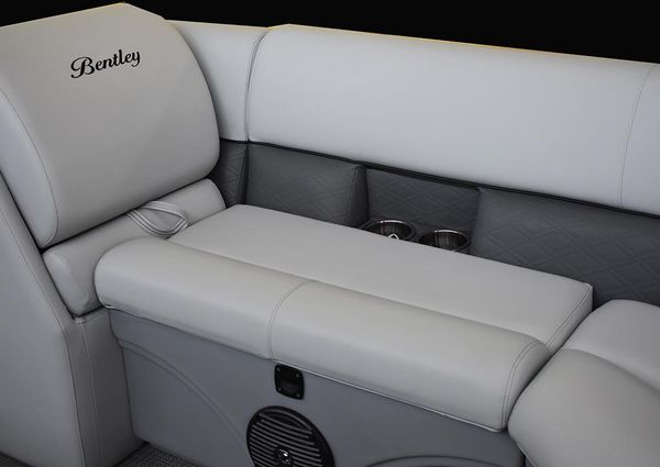 Bentley-pontoons 220-CRUISE image