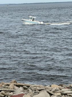 Boston-whaler 250-OUTRAGE image