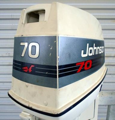 Johnson 20 inch Shaft Carbureted - main image