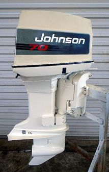Johnson 20 inch Shaft Carbureted image