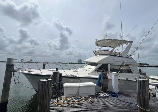 Hatteras 45 Convertible image