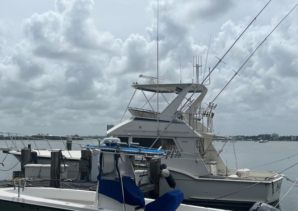 Hatteras 45 Convertible image