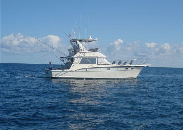 Hatteras 45 Convertible image