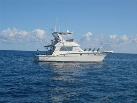 Hatteras 45 Convertible image