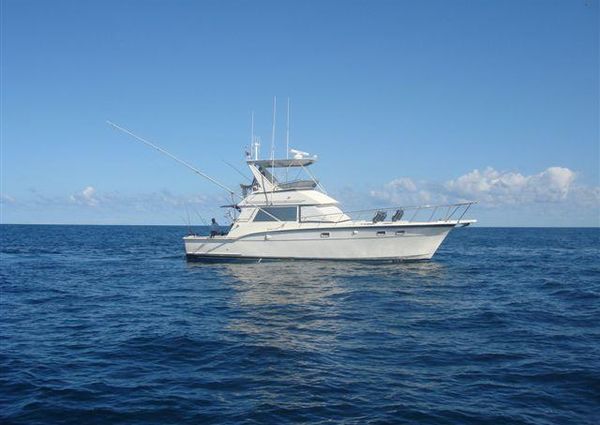 Hatteras 45 Convertible image