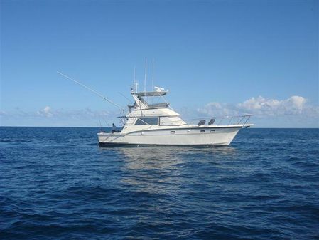 Hatteras 45 Convertible image