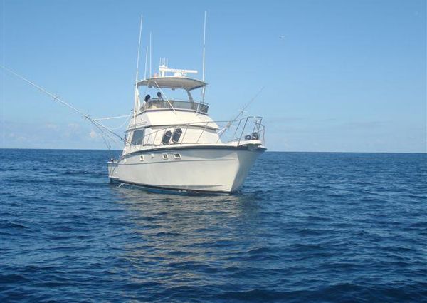 Hatteras 45 Convertible image