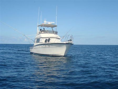 Hatteras 45 Convertible image