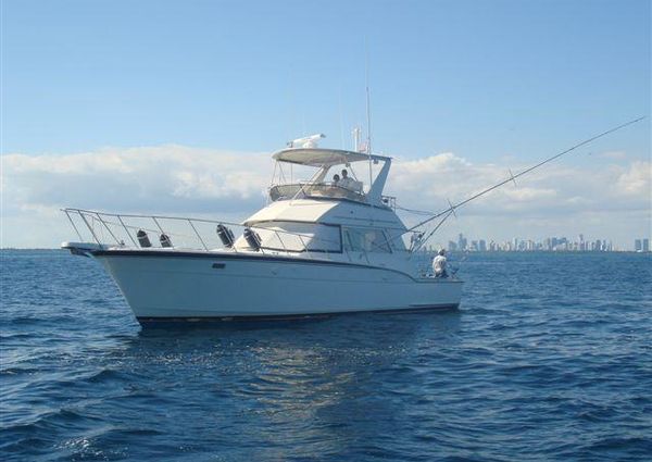 Hatteras 45 Convertible image