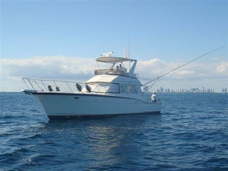 Hatteras 45 Convertible image