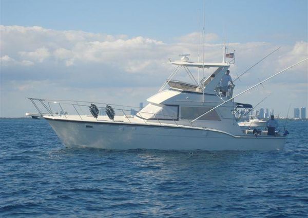 Hatteras 45 Convertible image