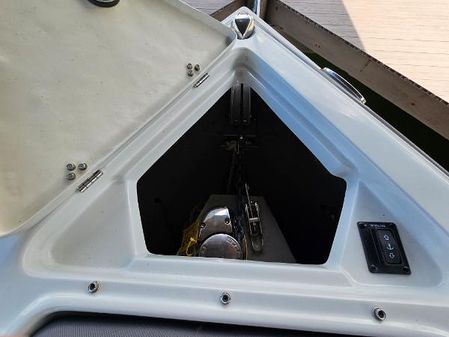 Crownline 290-XSS image