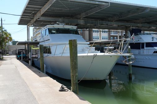 Darling Yachts 62 Enclosed Bridge image