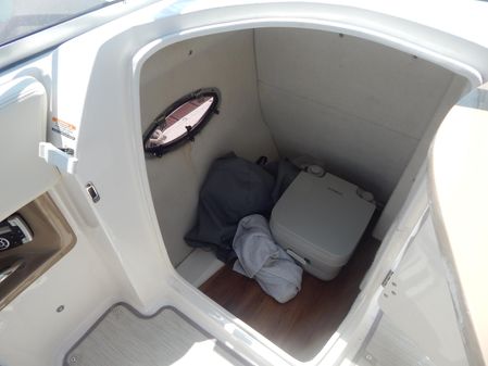 Chaparral 230-SUNCOAST image