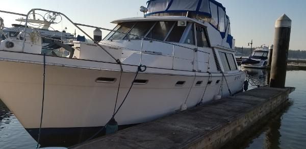 Bayliner 45 image