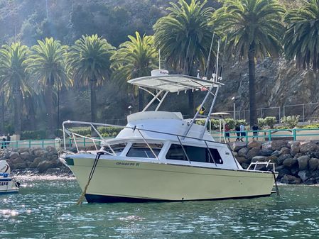 Luhrs 28-FLYBRIDGE-SEDAN image