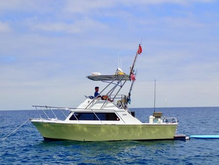 Luhrs 28-FLYBRIDGE-SEDAN image