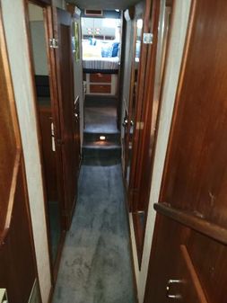 Bayliner 4588-MOTORYACHT image