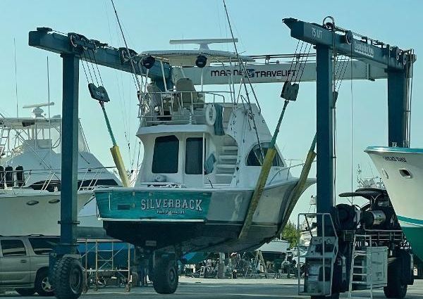 Luhrs 34 Convertible image