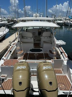 Striper 2900 image