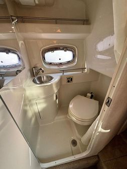 Sea Ray 260 Sundancer image