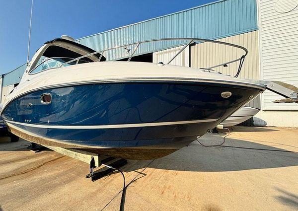 Sea Ray 260 Sundancer image