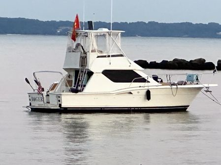 Hatteras Convertible image