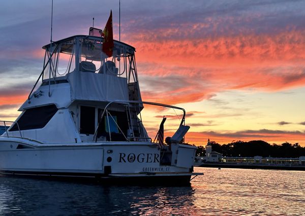 Hatteras Convertible image