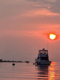 Hatteras Convertible image