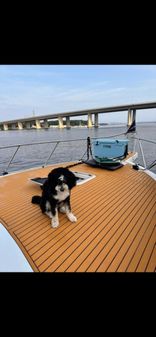 Hatteras Convertible image