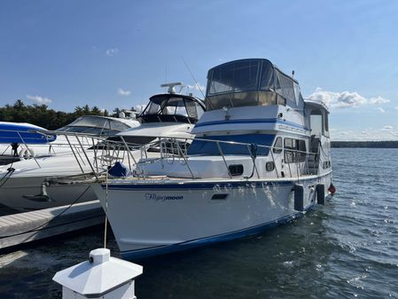 Custom 41 Flybridge image