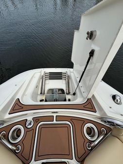 Sea-ray 260-SUNDECK image